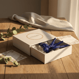 hirondelle en céramique stylisée et modernisée bleue cobalt, dans sa boîte cadeau Luisa Paixão.  Coffret hirondelle stylisée - Bleu Cobalt