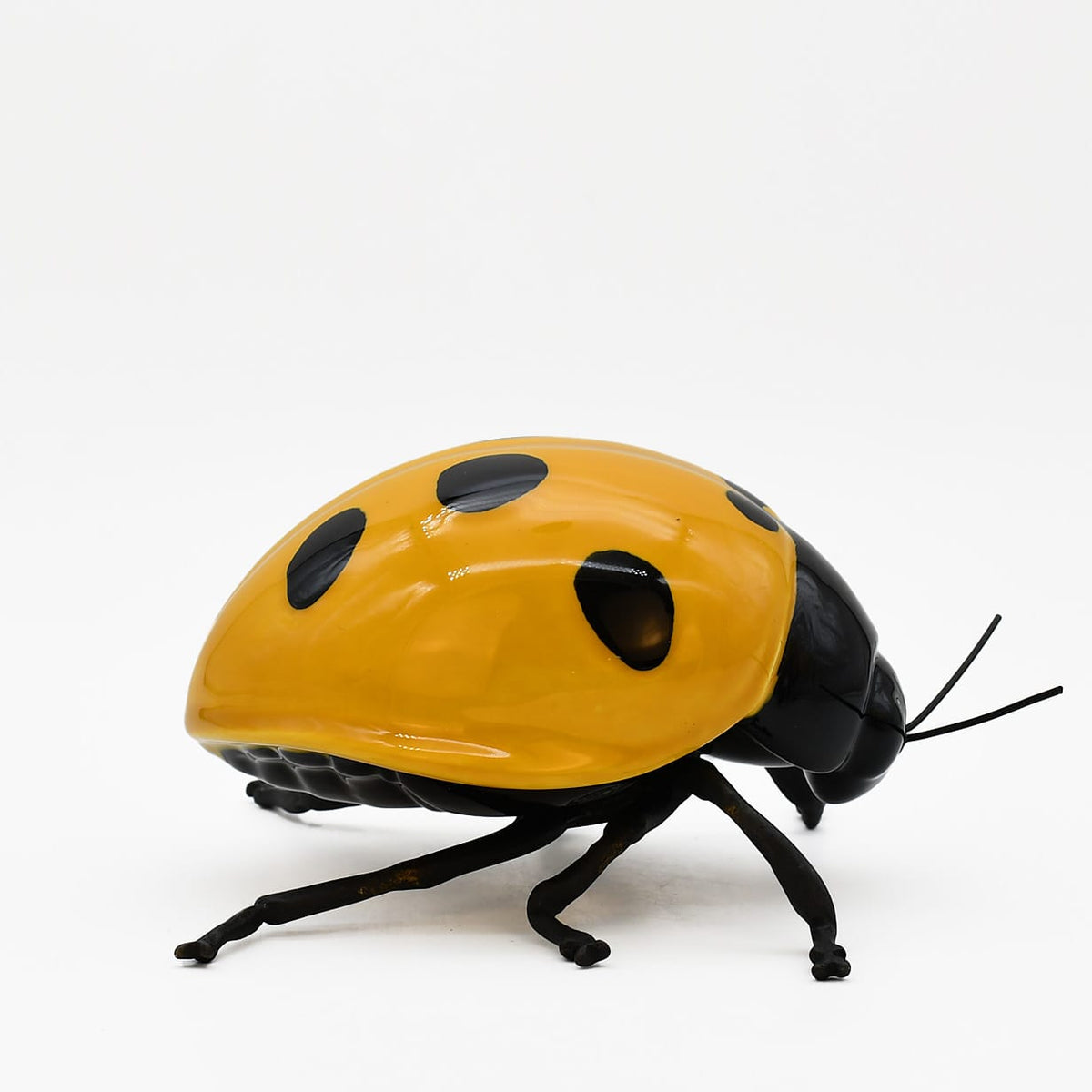Merle I Oiseau en céramique et laiton Coccinelle en céramique "Joaninha, voa, voa"