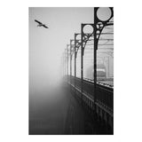 Photo d'art signée "Morning fog#2"