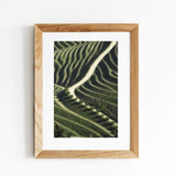 Kunstfoto signiert "Vinyards"